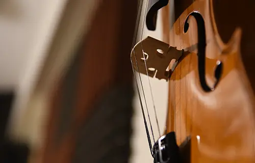 corso di viola accademia europea di musica erba como