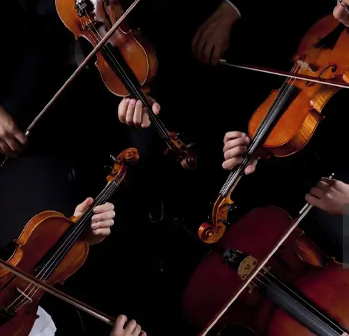 Accademia europea di musica erba como milano_corso quartetto archi